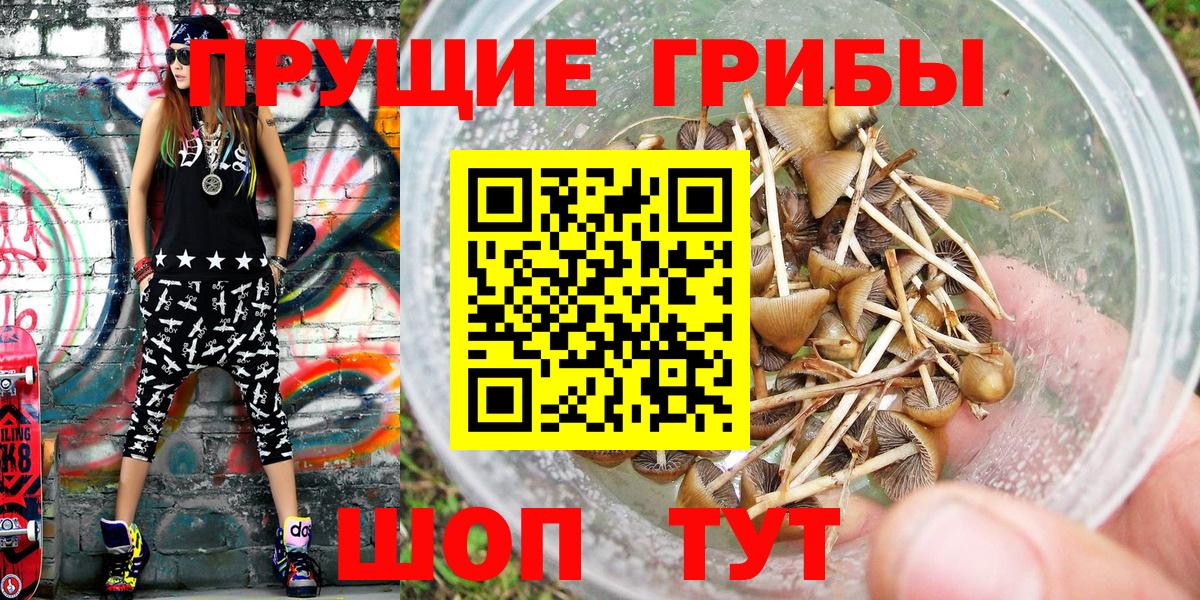 Псилоцибиновые грибы MAGIC MUSHROOMS  Псилоцибиновые грибы MAGIC MUSHROOMS  Можайск  Вход с VPN 